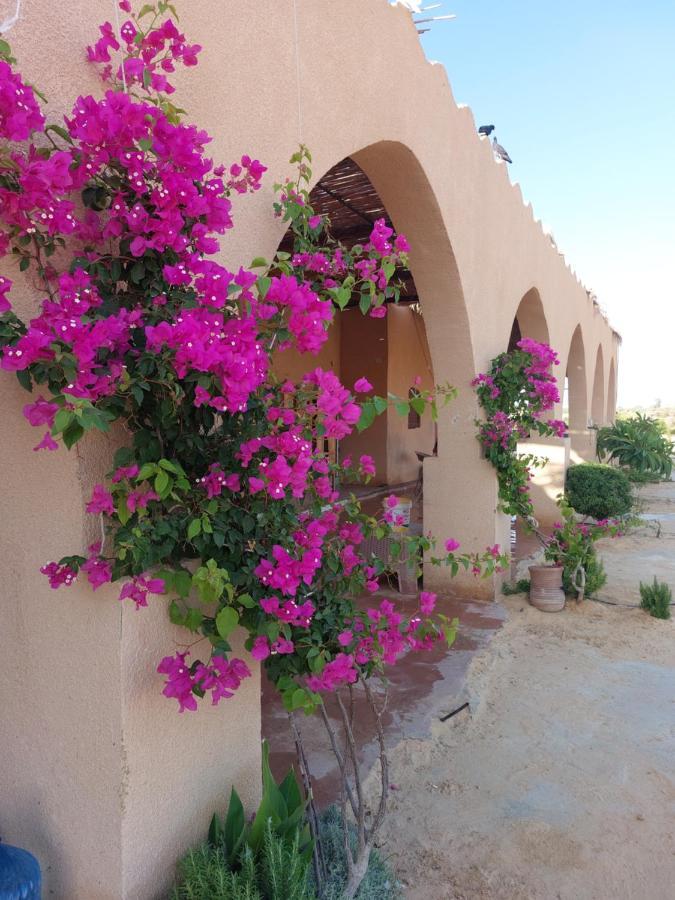 Hotel Hayaat Siwa Hot Spring à Siwa Oasis Extérieur photo